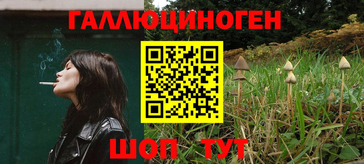Галлюциногенные грибы Psilocybe  купить  сайты  Ейск  Вход с VPN  Псилоцибиновые грибы Magic Shrooms 